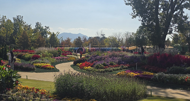 2025 순천만국가정원 입장료 추천코스 스카이큐브 순천여행 근처맛집 현지인추천 맛집 주차장 동문 서문 편의시설 예약 정원해설