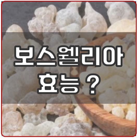 보스웰리아 효능