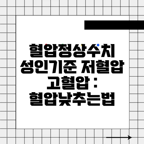 혈압정상수치 성인기준 저혈압 고혈압 : 혈압낮추는법