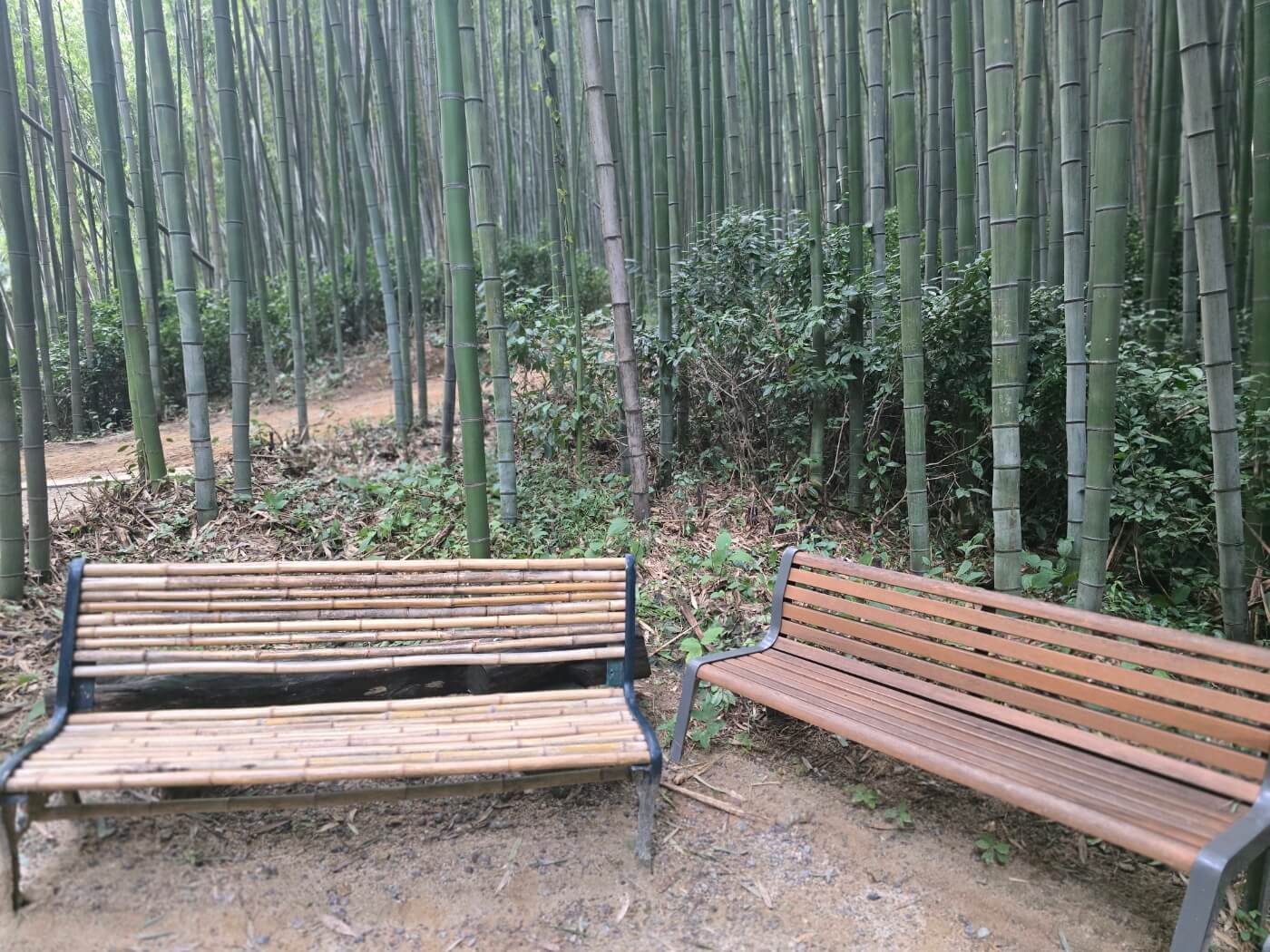 대나무로 만들어진 의자2