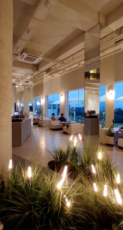 분위기 있는 갈대 조명