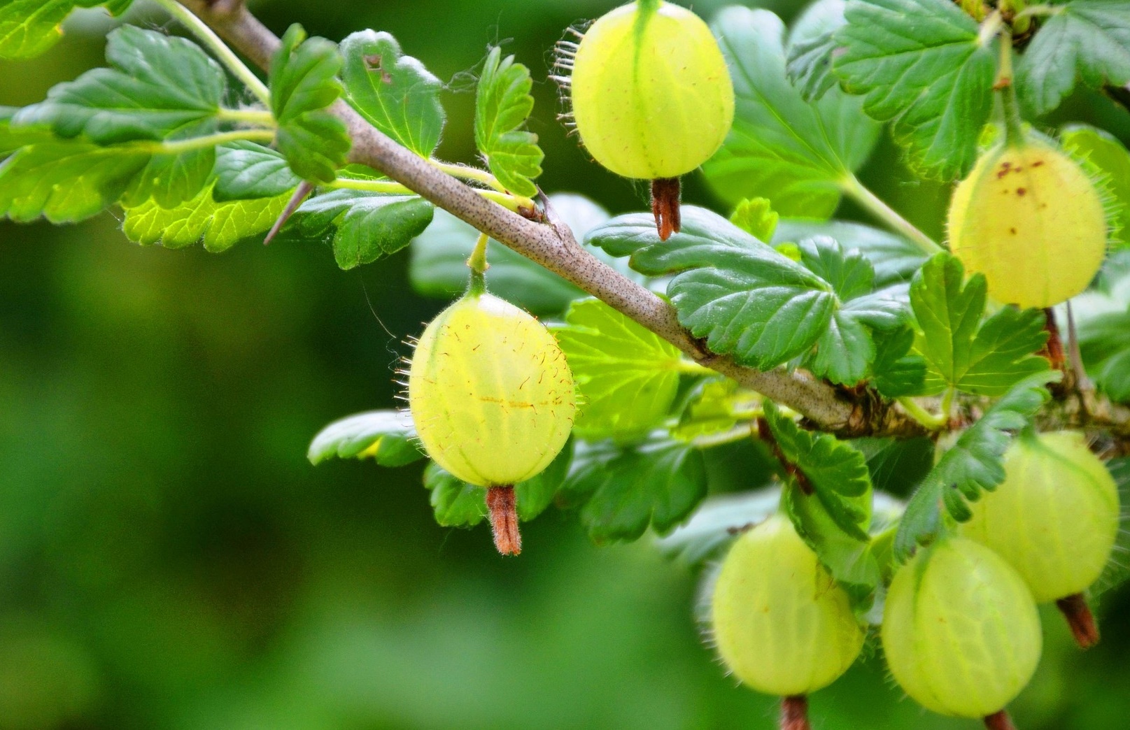 당뇨 합병증이 생기는 원인과 주요 증상, 반드시 알아야 할 예방법