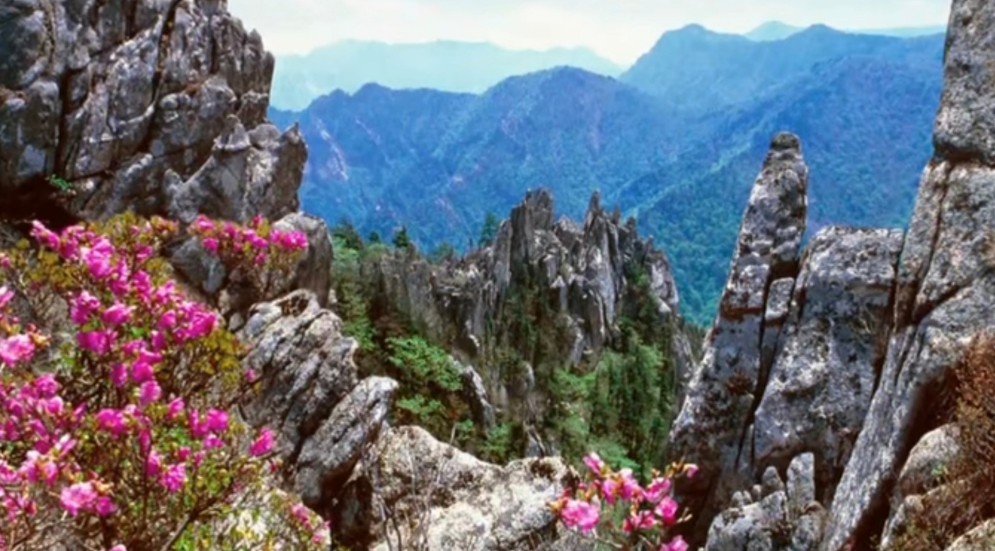 금강산은-사계절마다-이름이-달라요.