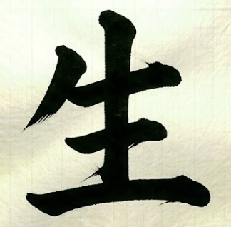 날 생 한자