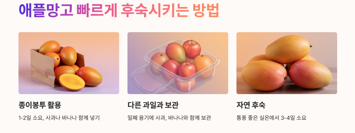 애플망고 빠르게 후숙시키는 방법