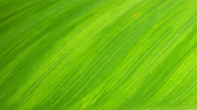고향사랑기부제 답례품 선택 팁 및 고향사랑e음
