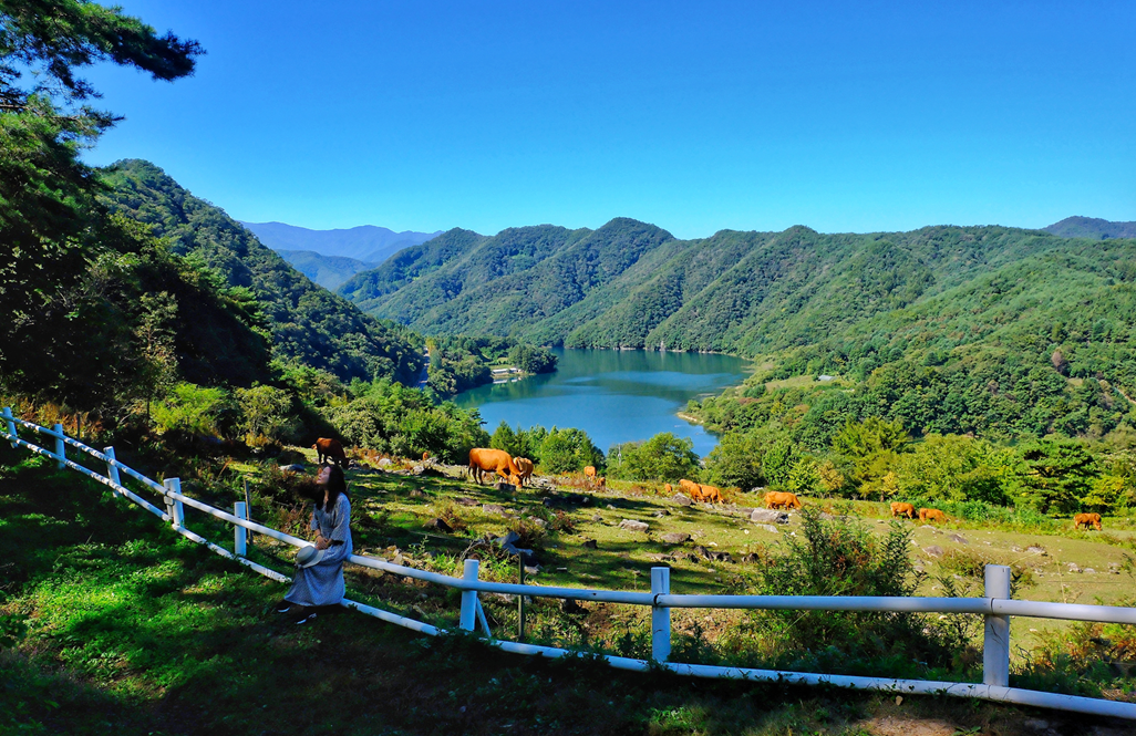 해피초원목장의 포토존 풍경