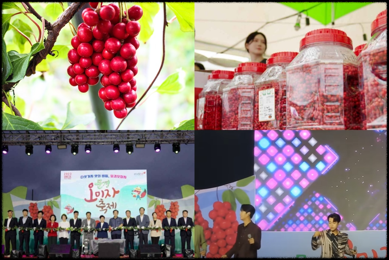 문경 오미자 축제