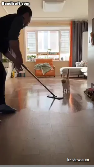 img.webp?credential=yqXZFxpELC7KVnFOS48ylbz2pIh7yKj8&expires=1767193199&allow_ip=&allow_referer=&signature=IYHPN5T3Hio6HxOrM8hXVHrSVCk%3D