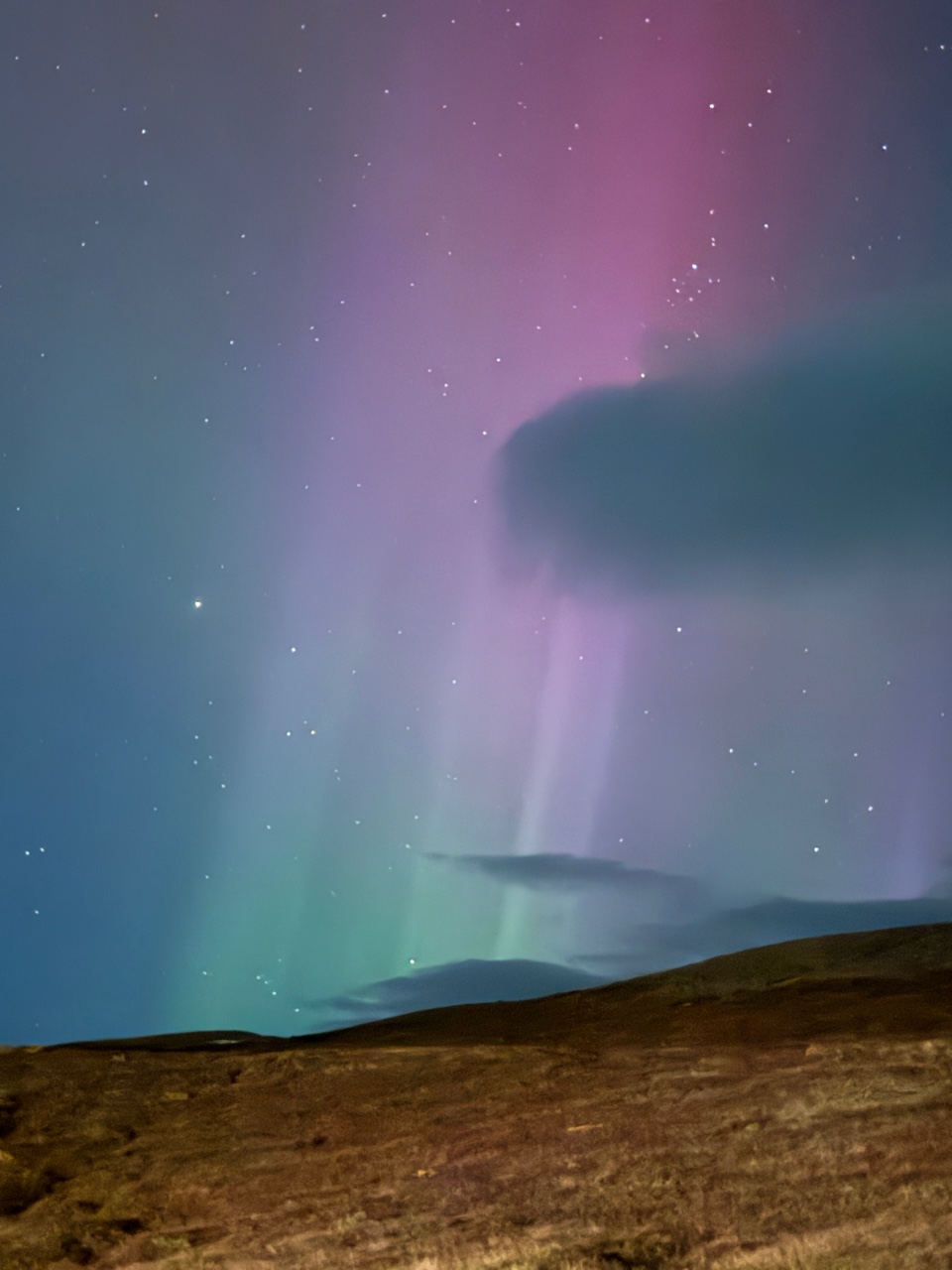 아이슬란드에서 만난 오로라