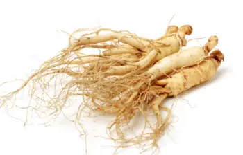 인삼 효능 및 가격, 영양 성분의 효과