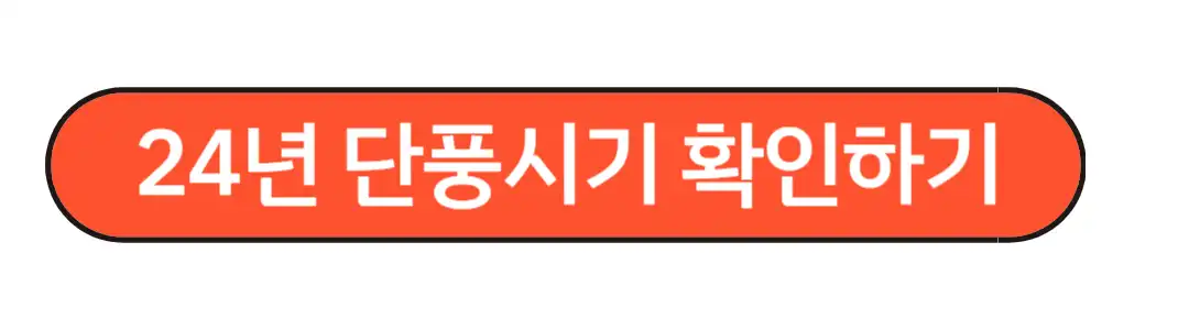 단풍시기 확인하기