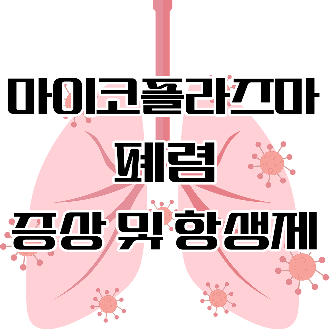 마이코플라즈마 폐렴 증상 및 항생제 치료