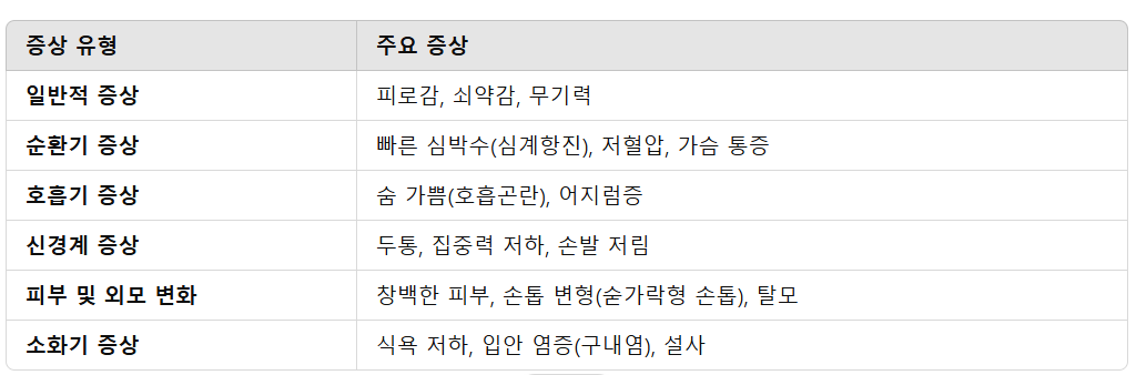 빈혈의 주요 증상