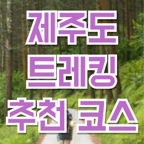 제주도 트레킹 추천 코스 TOP 6 + 계절별 여행 팁