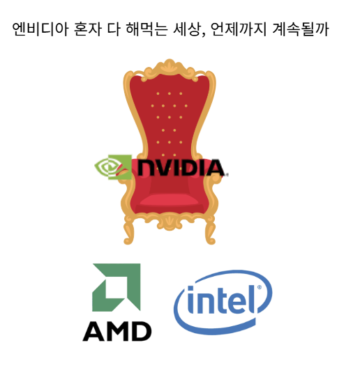 엔비디아 혼자 다 해먹는 세상, 언제까지 계속될까? (AI 반도체 삼국지)