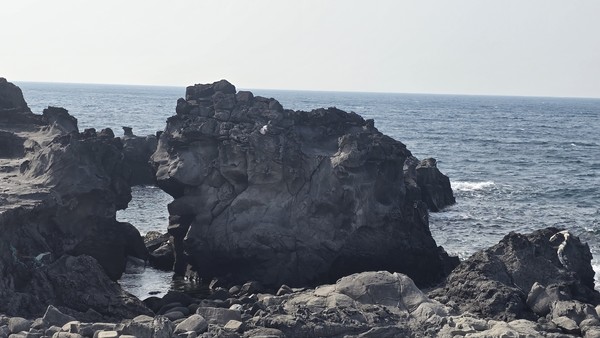 "당신도 드라마 주인공처럼"~핫플 드라마 관광지