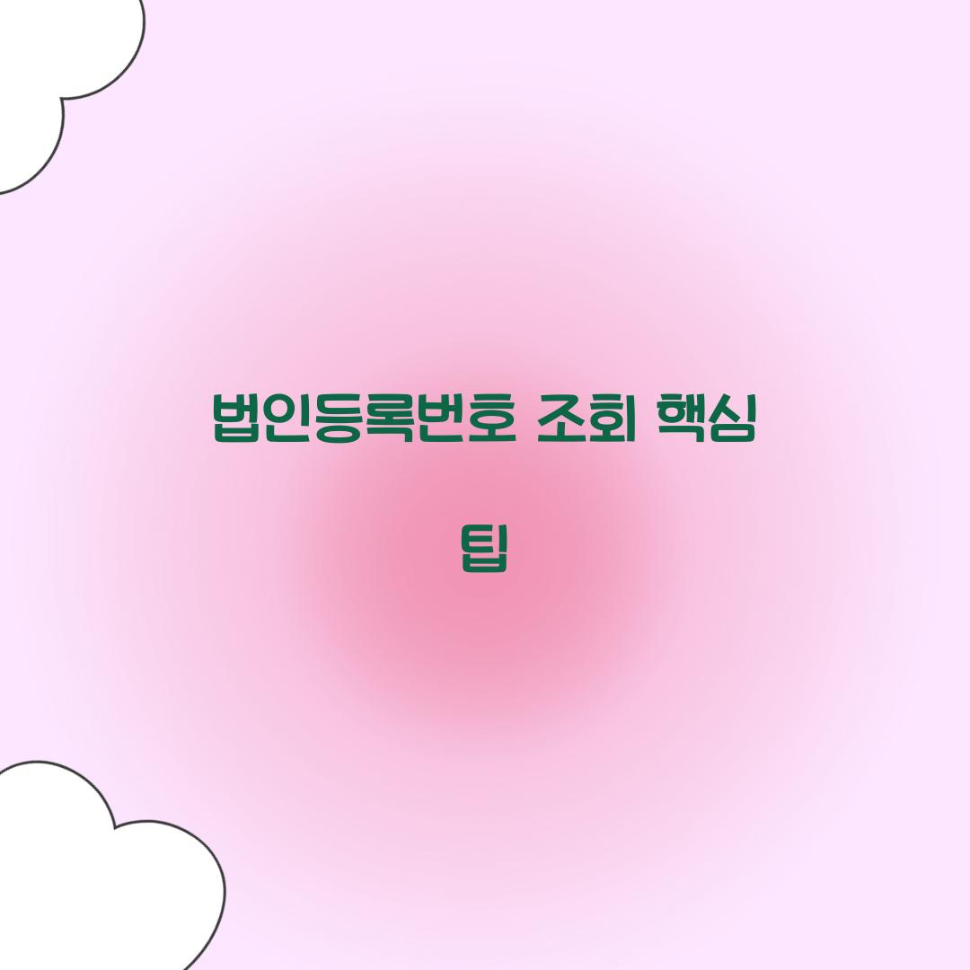 법인등록번호 조회