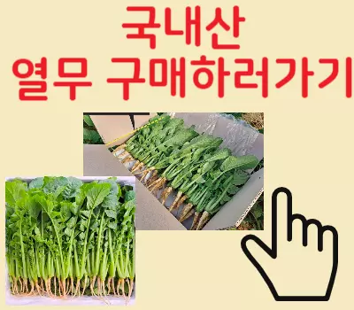 국내산 열무