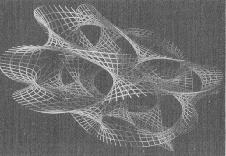점이 아니라 끈이 세상의 기본이라면