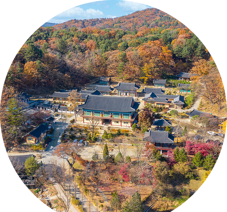 제20회 광릉숲축제 2025 완전 가이드 - 1년에 단 한 번 열리는 신비의 유네스코 숲