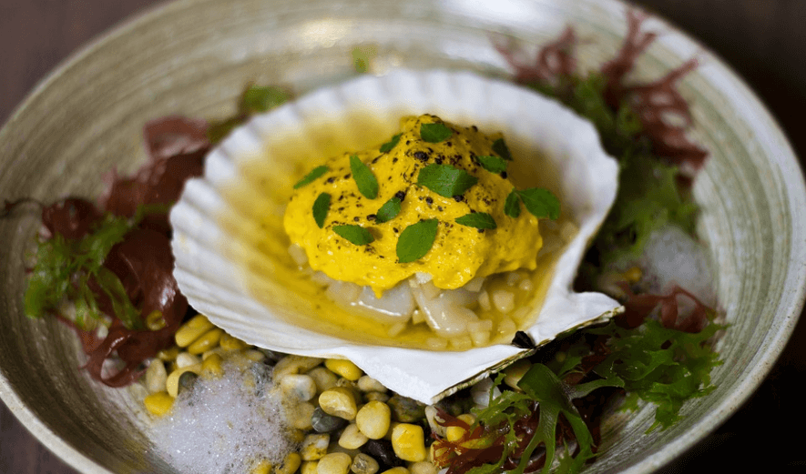 가리비 효능은 여러 가지가 있다. 요리 되어 있는 가리비