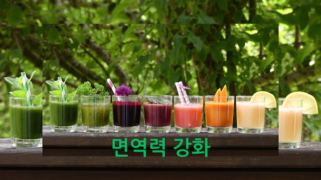 면역력-강화