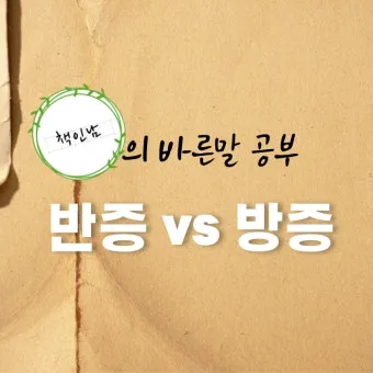 반증 방증 뜻 차이 맞춤법 한자_6