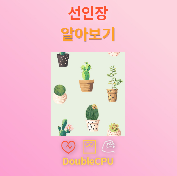 선인장 꽃말 및 탐구