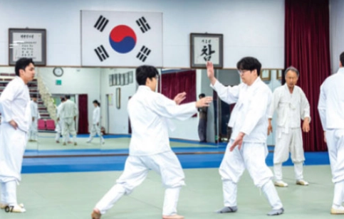 택견의 마주메기기