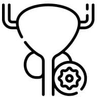 전립선 건강 개선 일러스트