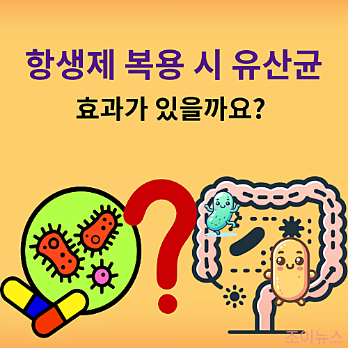 항생제 복용 시 유산균 섭취하면?