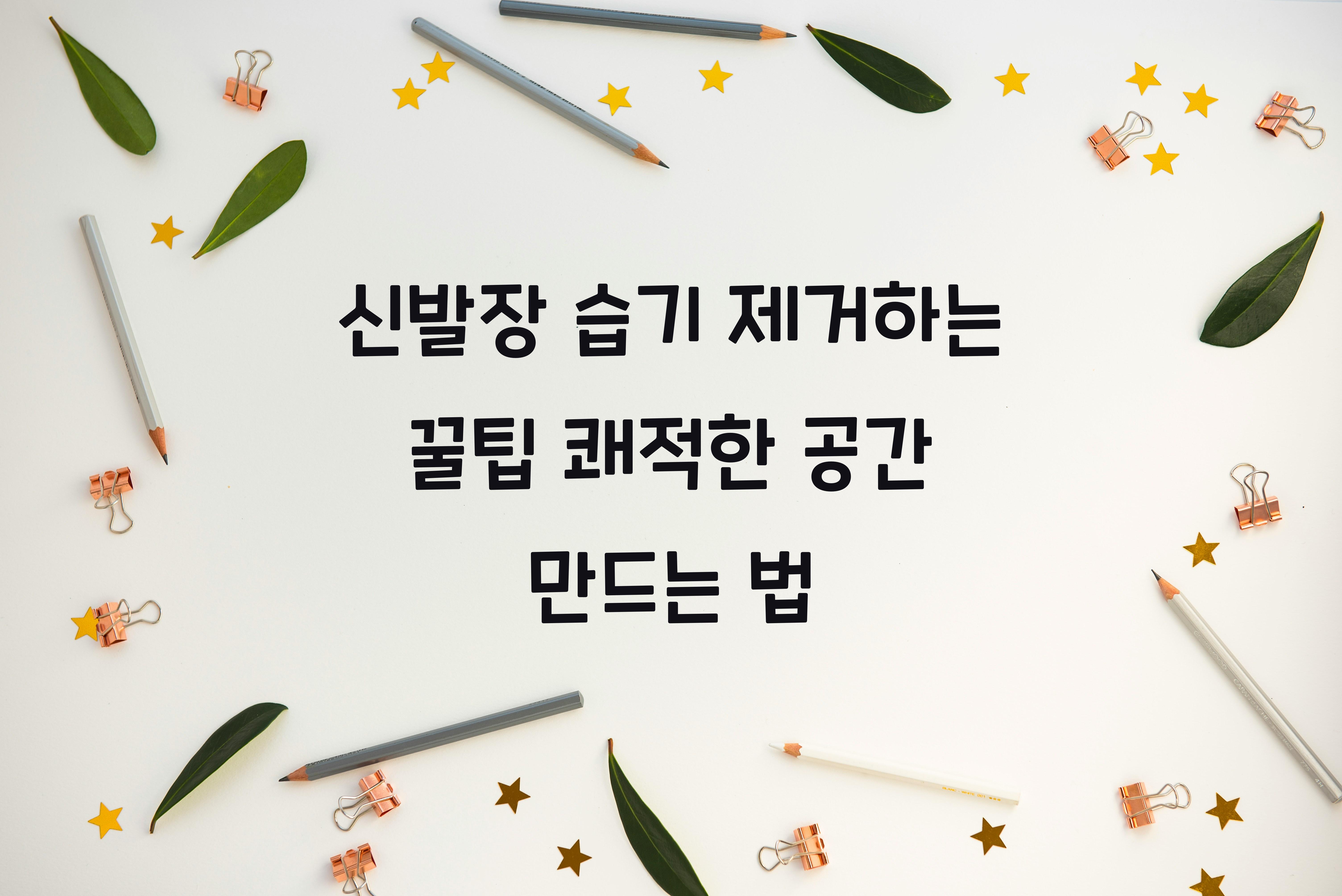 신발장 습기 제거하는 꿀팁