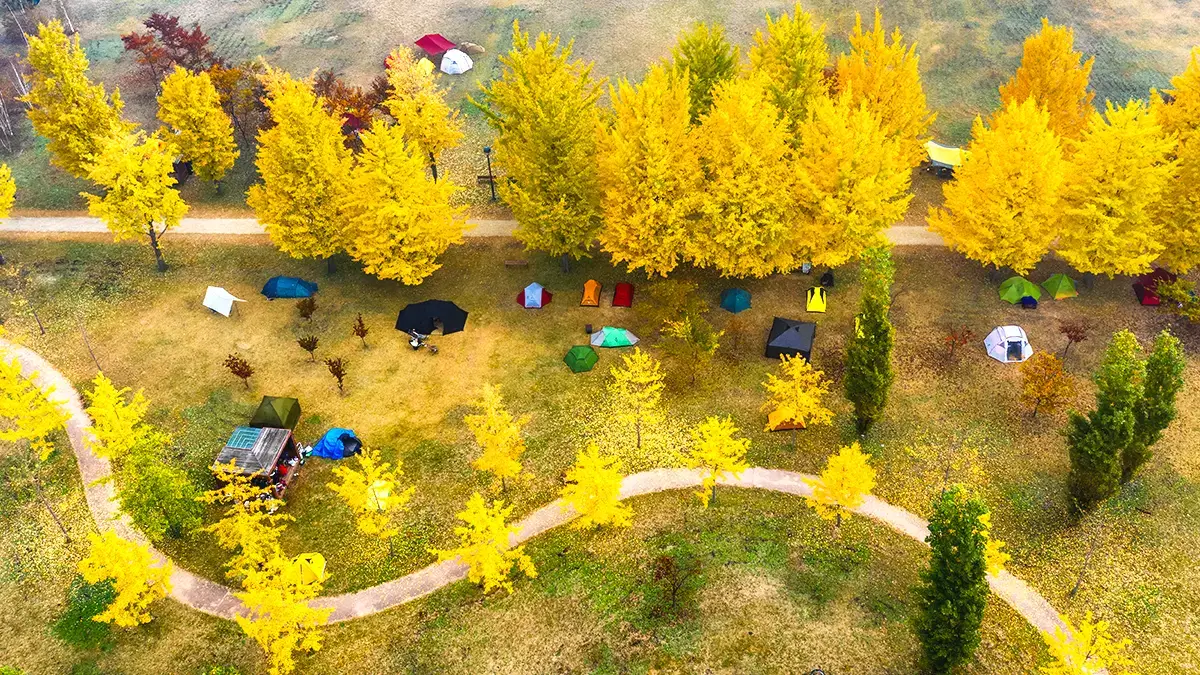 강천섬유원지 (경기도 여주)
