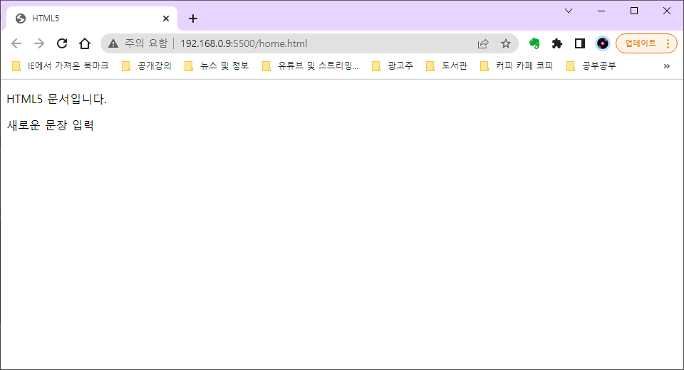크롬 브라우저 Live Server 조회 화면
