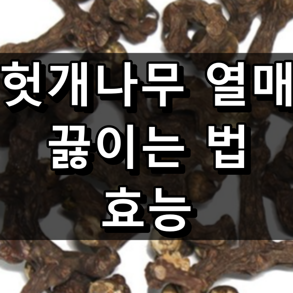 헛개나무 열매 끓이는 법과 효능 정리