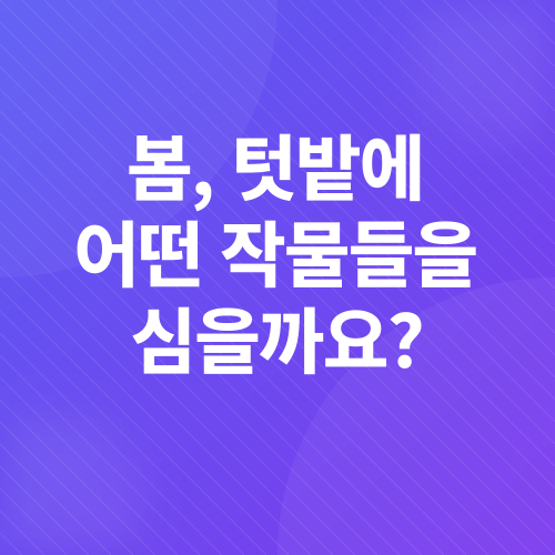 봄철 텃밭 가꾸기_4