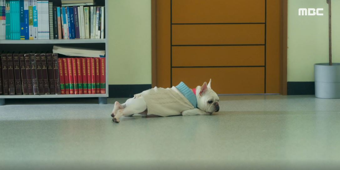 오늘도사랑스럽개_3회