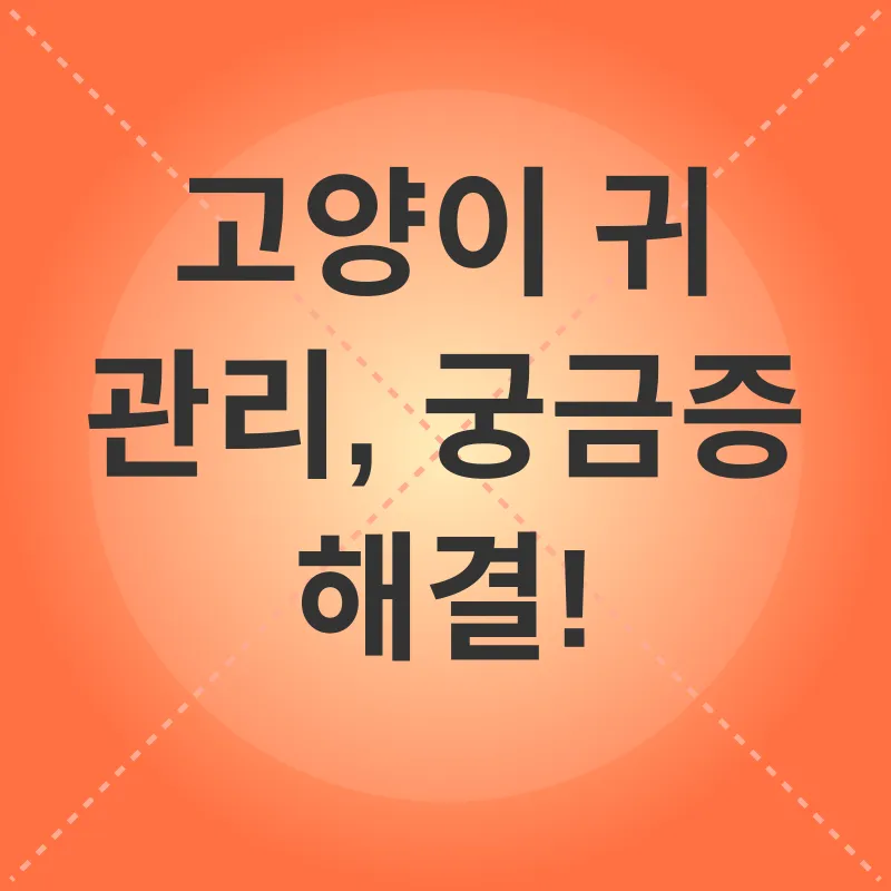 고양이 귀 관리_4