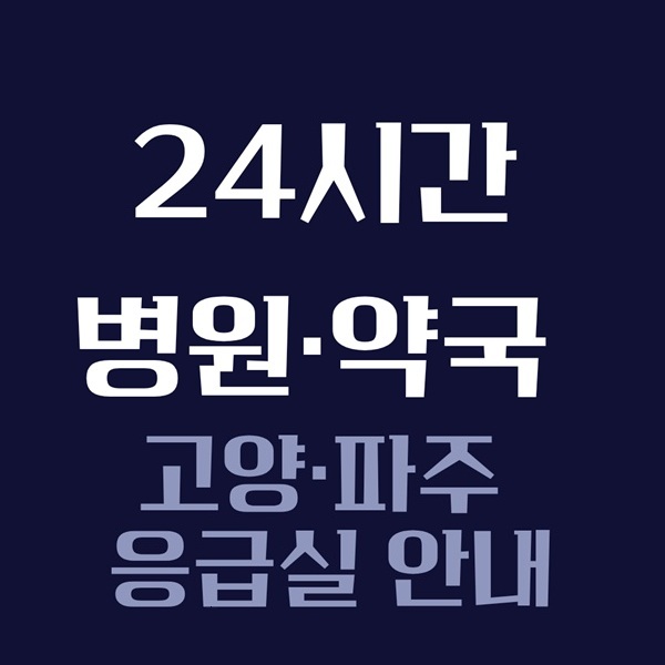 고양·파주 설 연휴 응급실 안내|휴일 명절 24시간 병원·약국 찾기