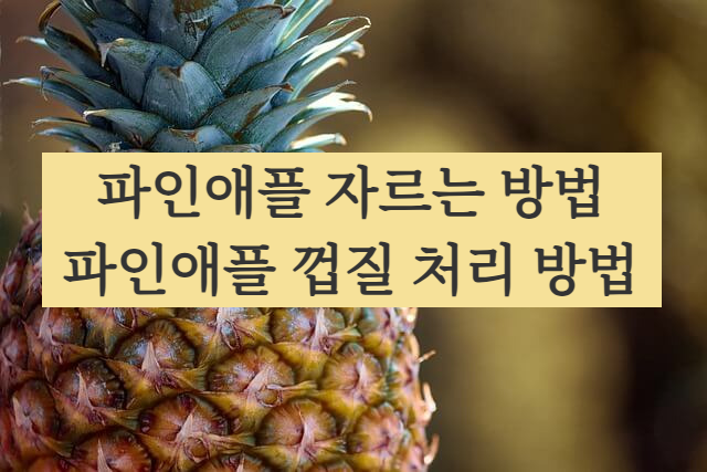 파인애플 자르는 방법, 파인애플 껍질 음식물 쓰레기