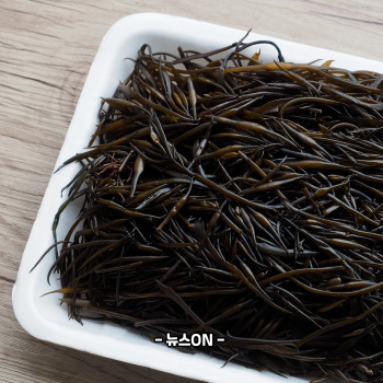 모자반 효능
