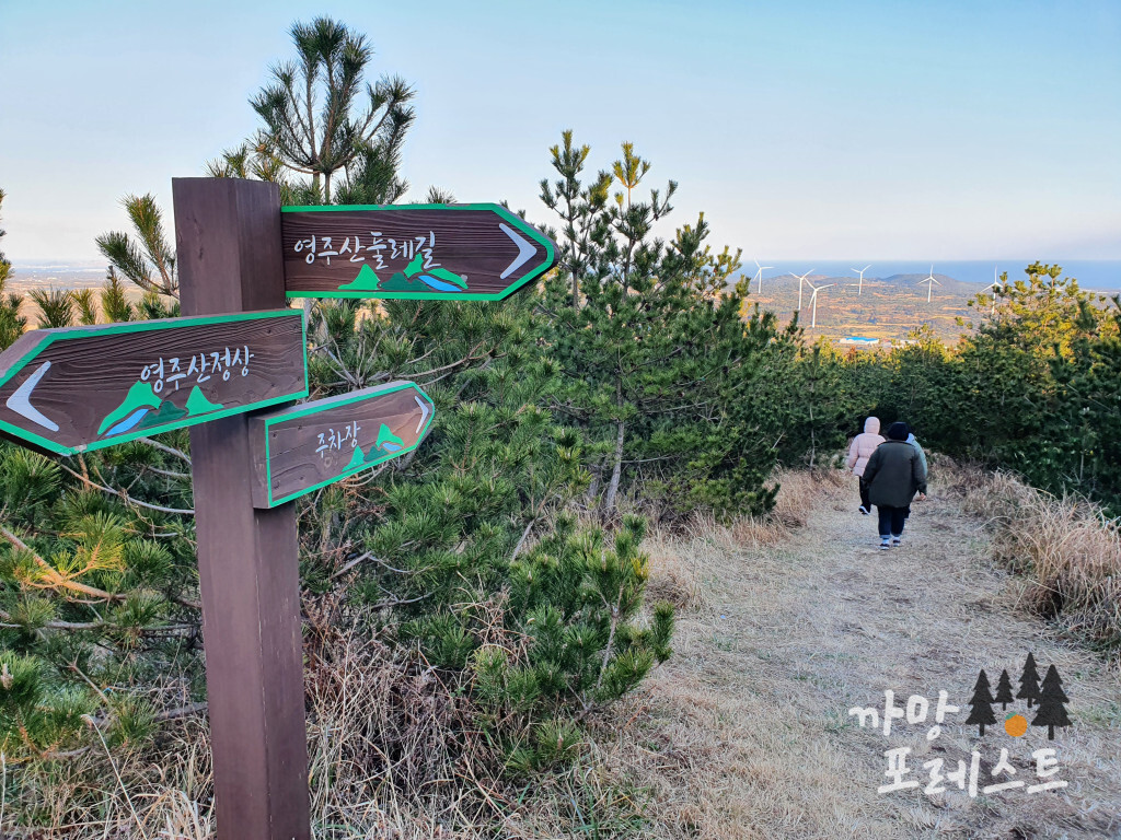 영주산 정상 둘레길