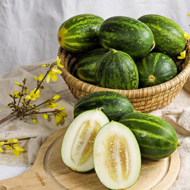 파파야 멜론, Papaya melon, 상큼달콤멜론, 멜론, 파파야, 상큼한 메론, 달콤한 메론