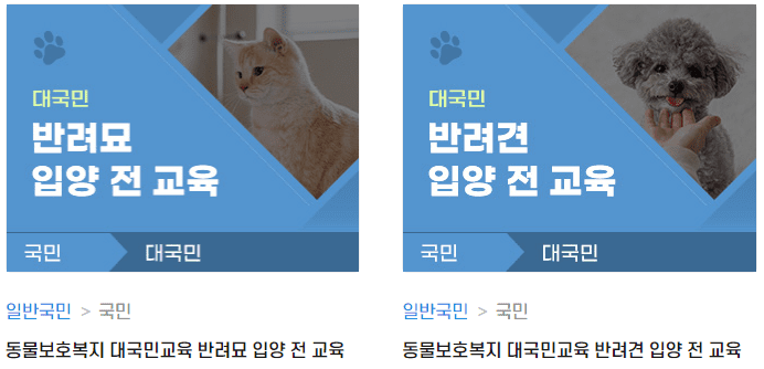 입양 전 반려견, 반려묘 교육 안내