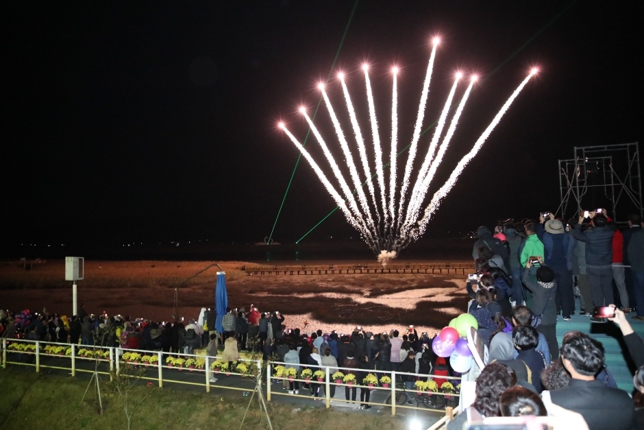 강진만 춤추는 갈대축제