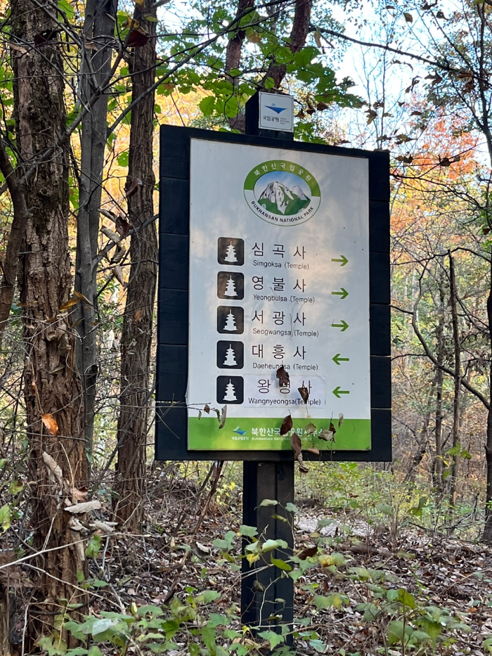 왕녕사&#44; 대흥사 등 사찰들