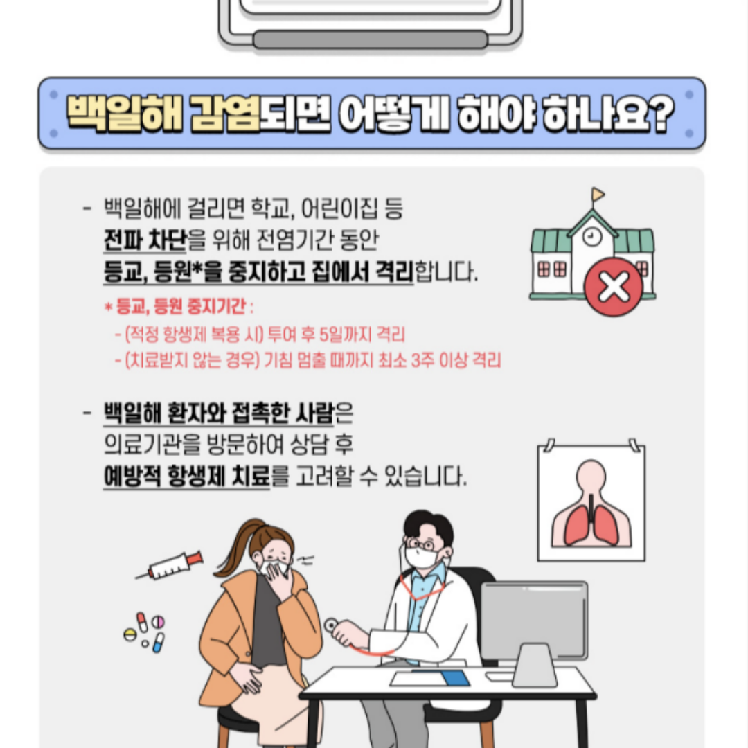 백일해 감염