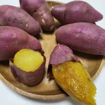 고구마 삶는법 맛있게 황금레시피 효능 칼로리_18