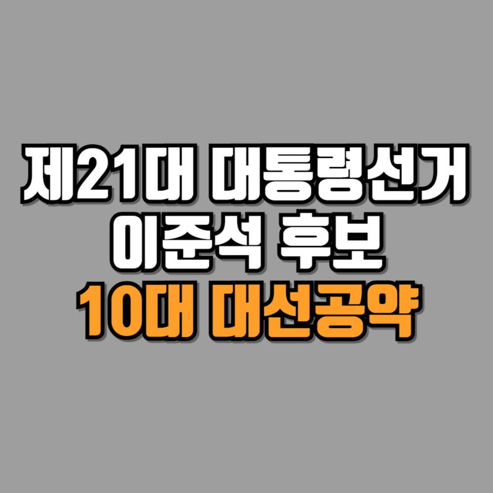 이준석 대선후보 10대 공약